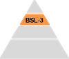 bsl-3