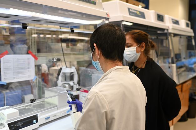 lab