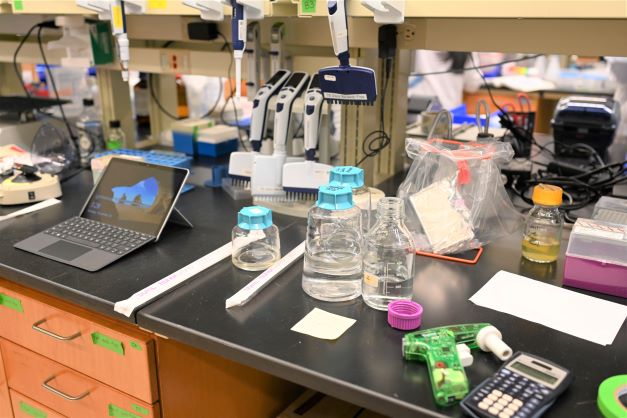lab