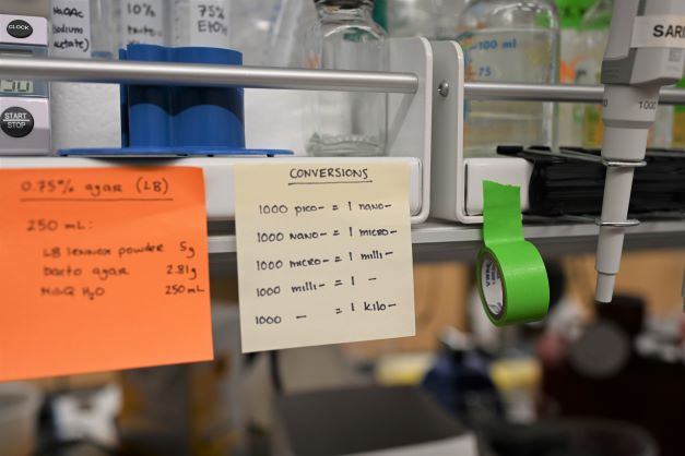 lab station