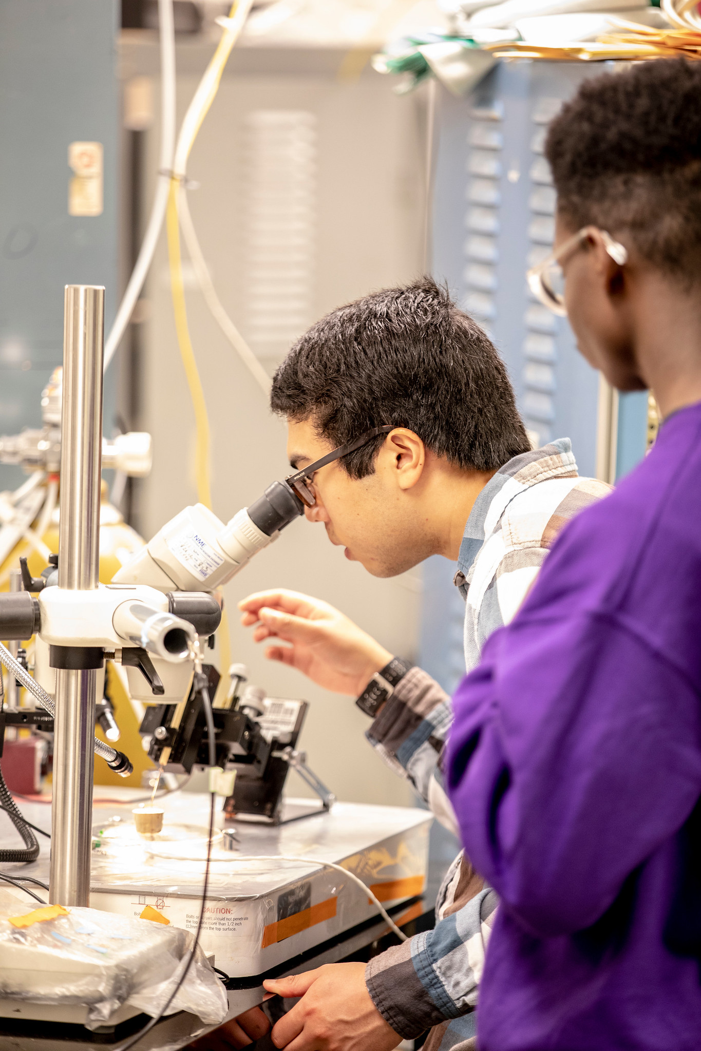 lab