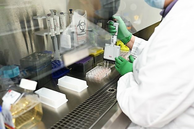 lab work